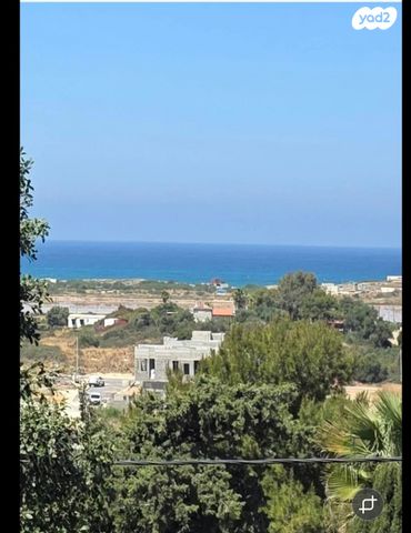שרון 12