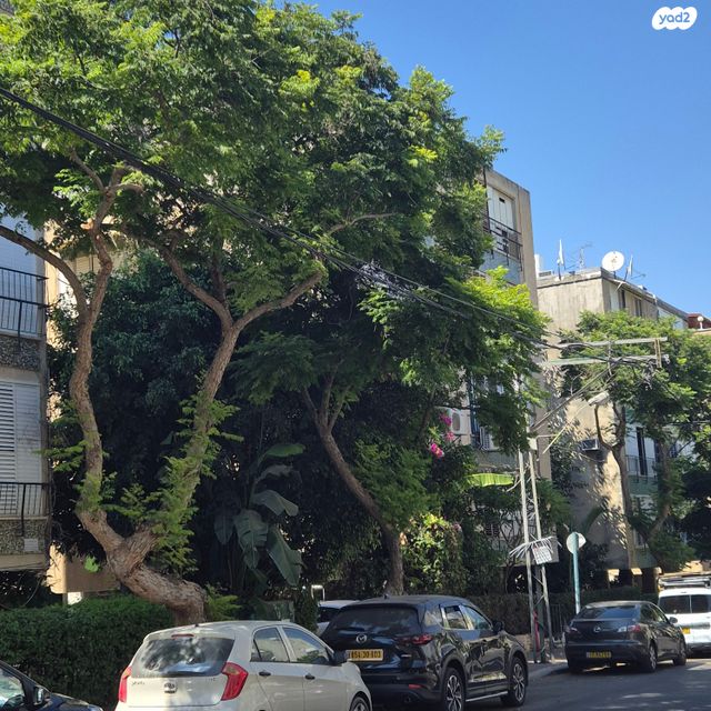 נחלת צבי 37