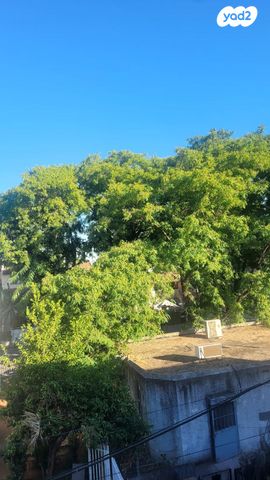 דירה, יוספטל, כפר סבא