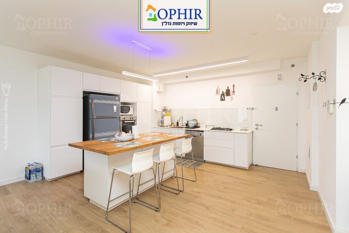 דירה, טירת כרמל