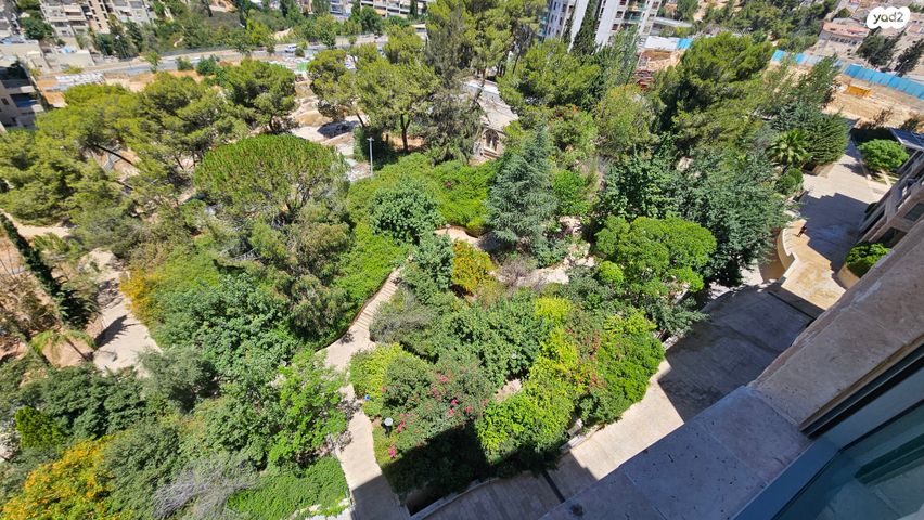 אברהם פררה 7