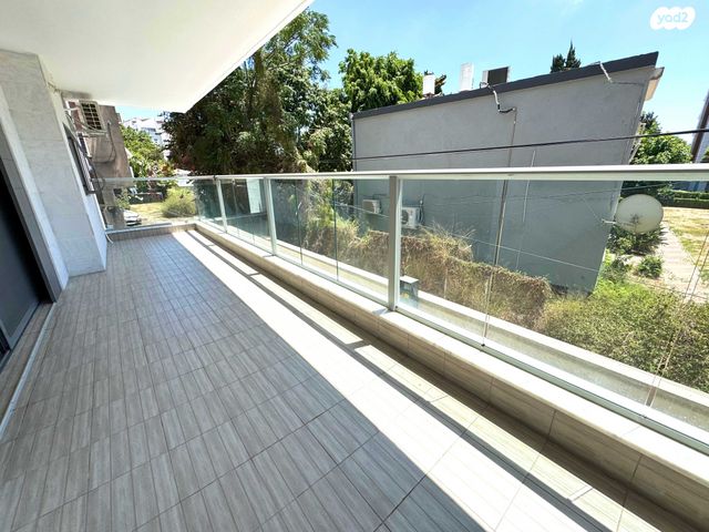 שמואל הנגיד 19