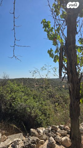 משק חקלאי/ נחלה, גבעת ישעיהו