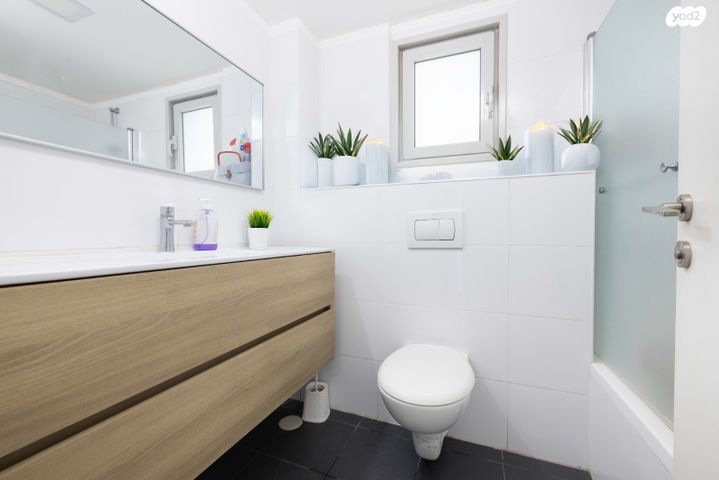 דירה, ירושלים, יד אליעזר, נס ציונה