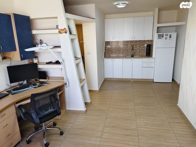 גג/ פנטהאוז, ליטאני, גני אביב, לוד