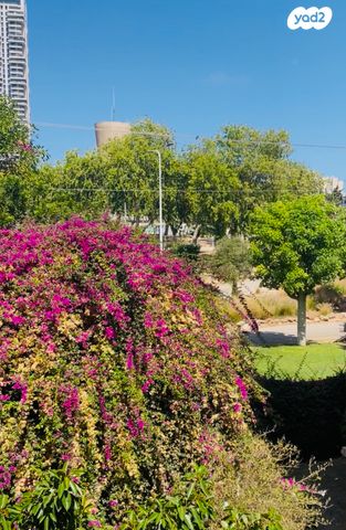התבור 14