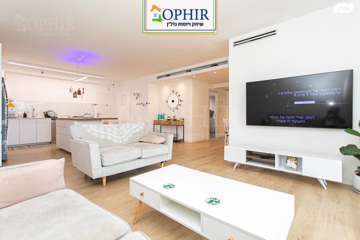 דירה, טירת כרמל