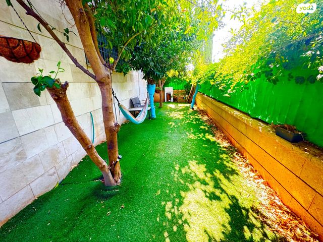 דירת גן, רחובות הצעירה, רחובות