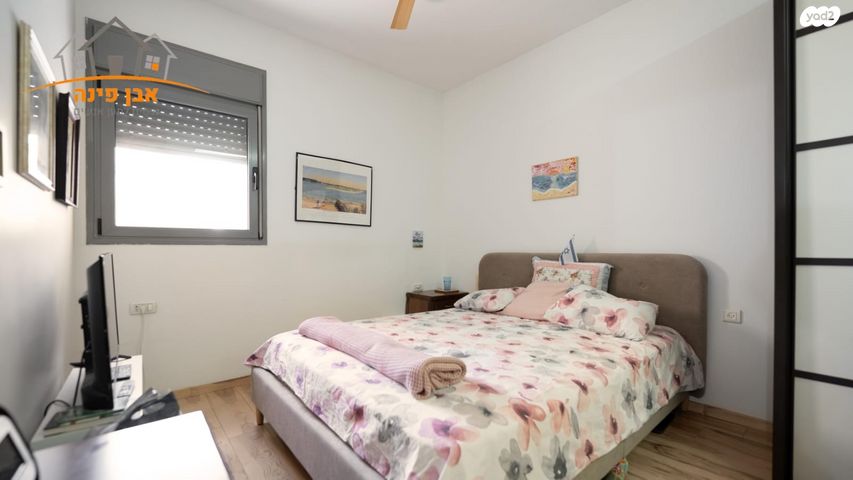 דירה, כרמל, אחוזת הנשיא, רחובות