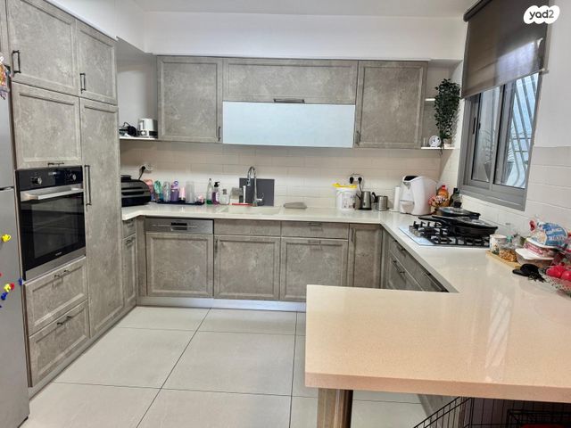 דירת גן, רחובות הצעירה, רחובות