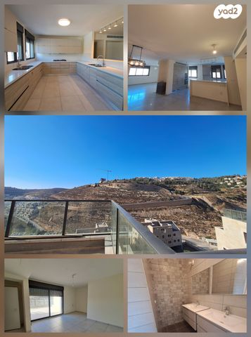 הכינור 