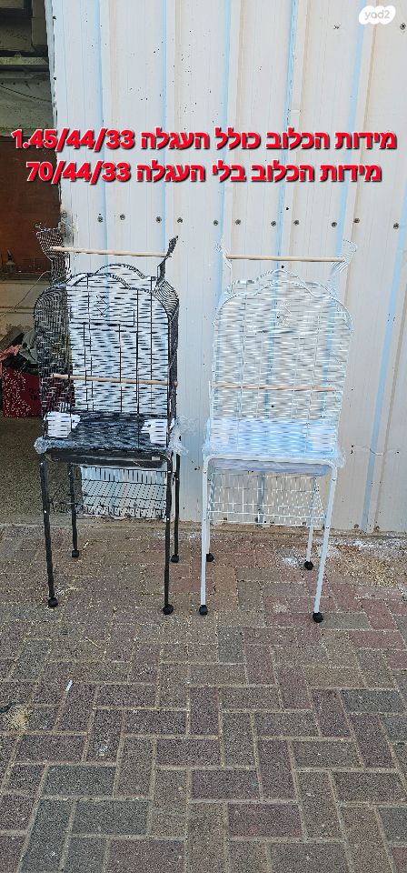 תמונת מודעה - חיות מחמד