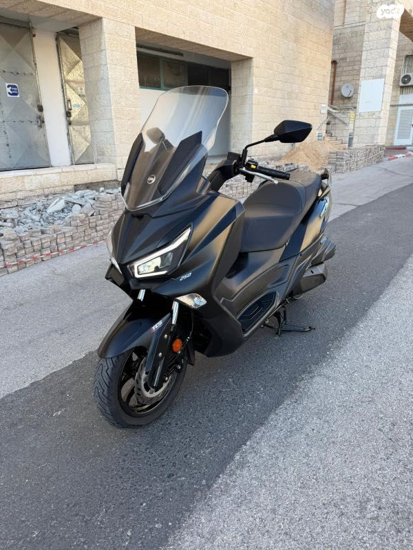 סאן יאנג ג'וי-מקס Z-250