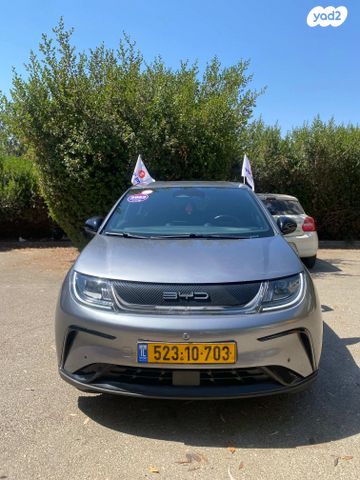 מודעת רכב בי.ווי.די דולפין