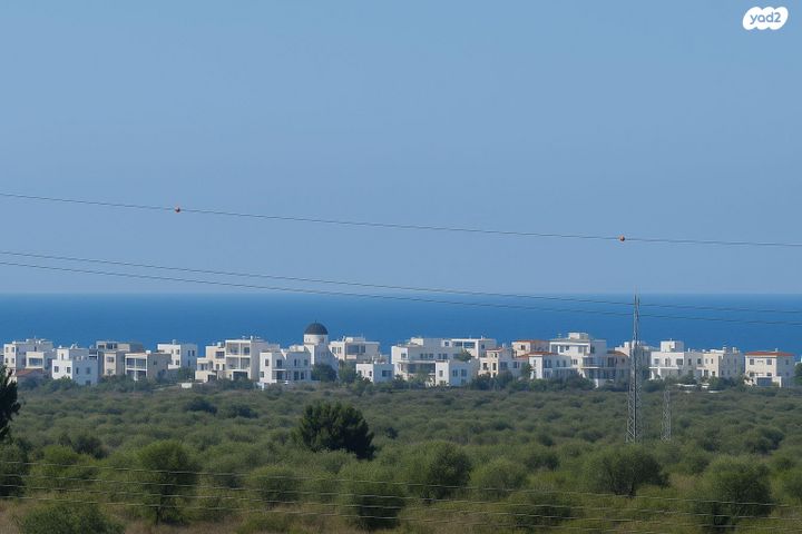 גינת אגוז 2