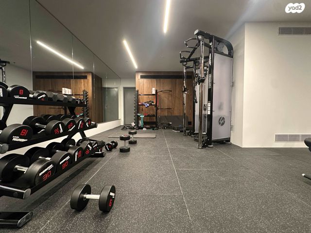 דירה, ויסוצקי, הצפון החדש - כיכר המדינה, תל אביב יפו