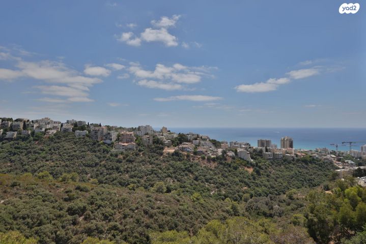 דירה, בית לחם 49, כרמל צרפתי, חיפה