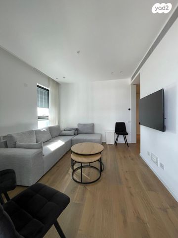 ליאונרדו דה וינצ'י 