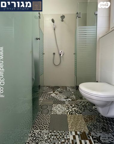 דירה, שונית, רמת חביב / רמת הנשיא, חיפה