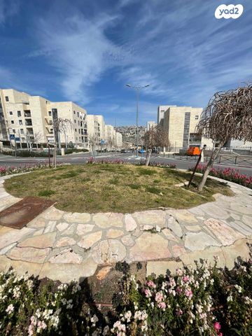 דירה, אהרון כהן, חומת שמואל, הר חומה, ירושלים