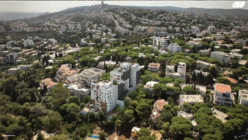 דירת גן, קרית ספר, חיפה