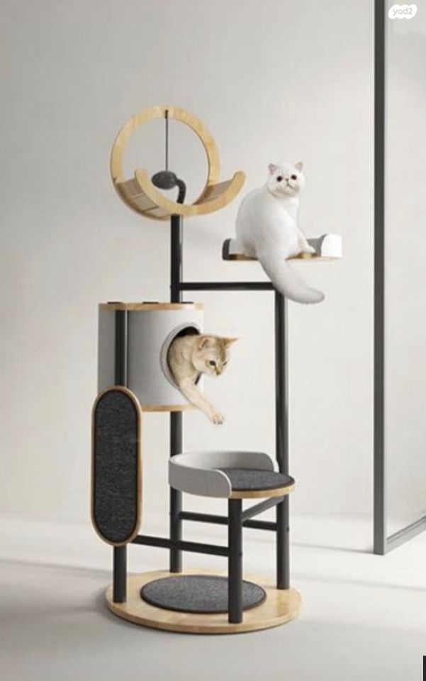 אביזרים | משחקים וצעצועים