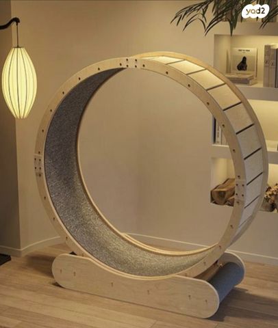 אביזרים | משחקים וצעצועים