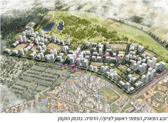 יעקב פריימן 20