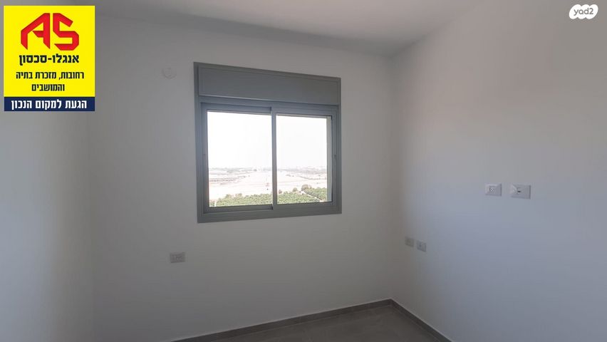 דירה, כרמל, אחוזת הנשיא, רחובות