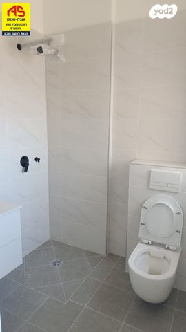 דירה, כרמל, אחוזת הנשיא, רחובות