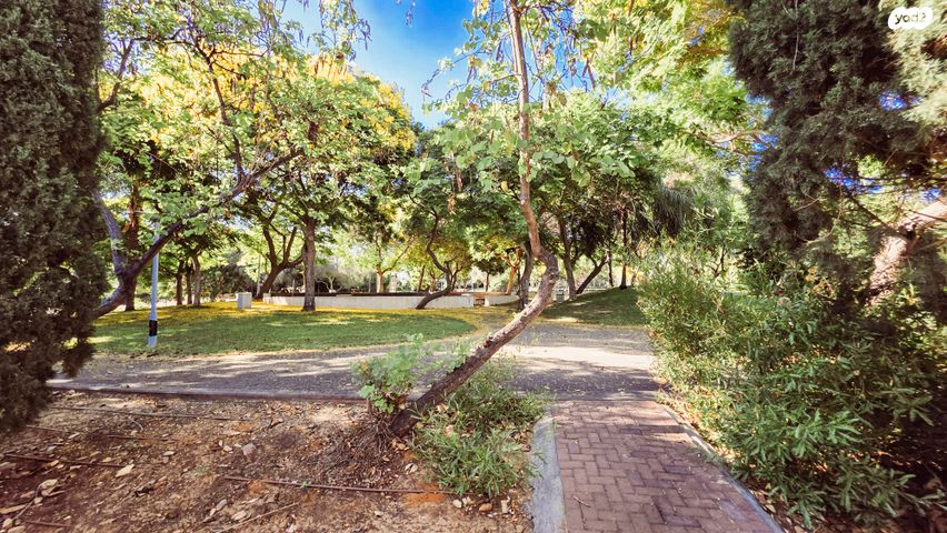 דו משפחתי, בנה ביתך, קדימה צורן