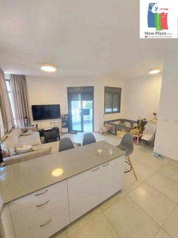 דירה, חברון, תל יהודה, רמת גן