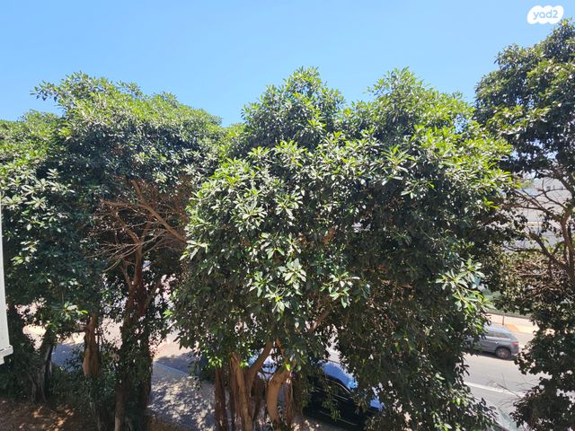 דירה, יד המעביר, הדר יוסף, תל אביב יפו