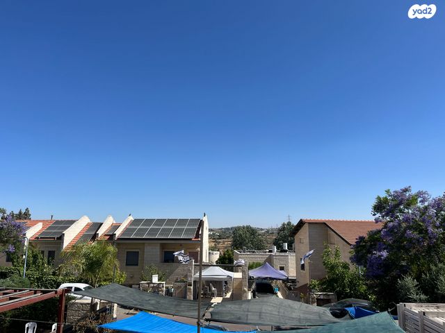 דירה, אלעזר