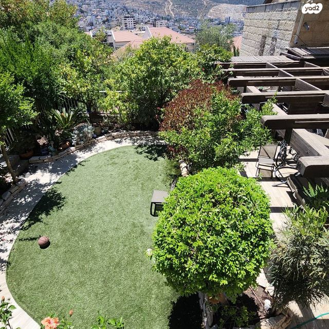 נועם אלימלך 31