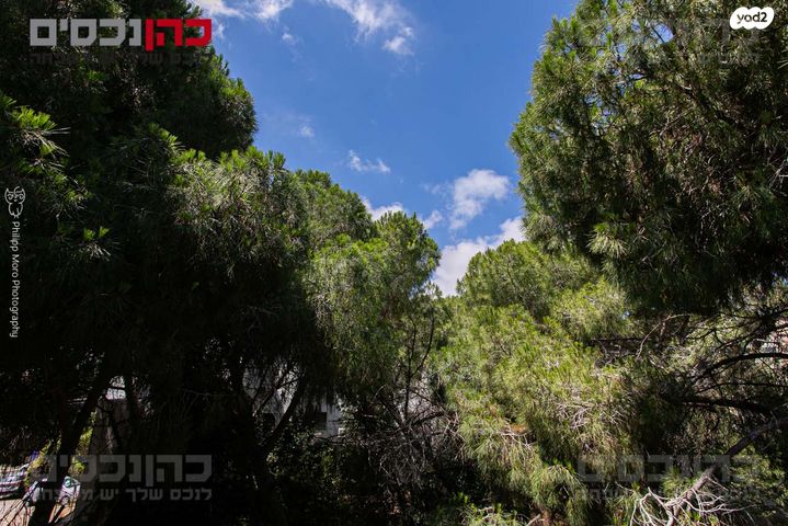 דירה, נעמ"ת, חיפה