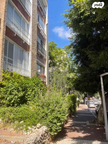 דירה, הכרמל, מרכז, כפר סבא