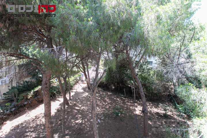 דירה, נעמ"ת, חיפה