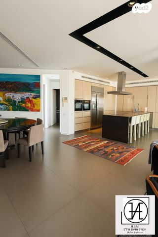 אלכסנדר סשה ארגוב 