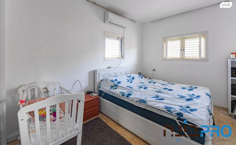 דירה, דרור, רמב"ם, ראשון לציון