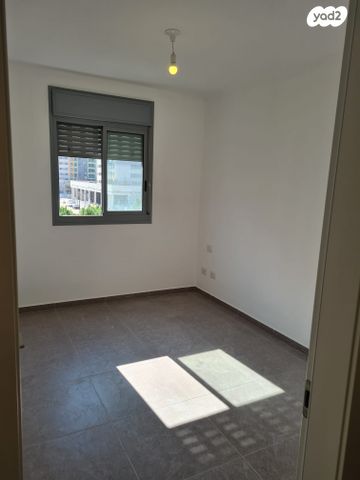 דירה, הלוחמות, נרקיסים, ראשון לציון