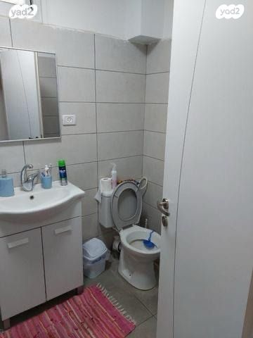 דירה, ההשכלה, גבעת נשר, נשר