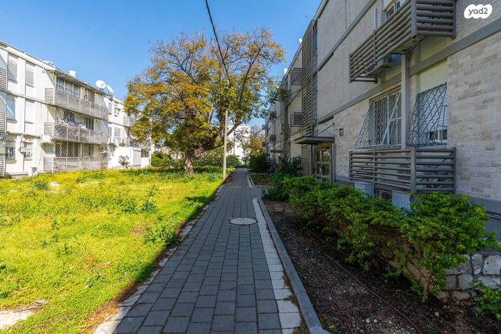 עליזה יאנסן 669