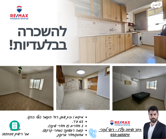 התומר 