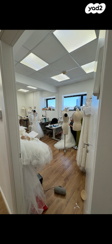 סטודיו, הרצליה פיתוח, הרצליה