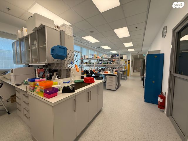 משרדים, יצחק מודעי, פארק הורוביץ, רחובות