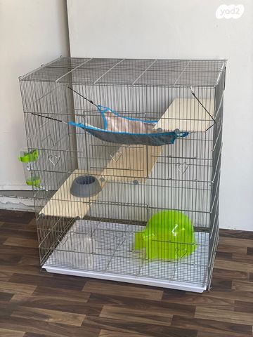 תמונת מודעה - חיות מחמד