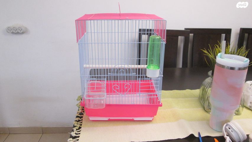 תמונת מודעה - חיות מחמד