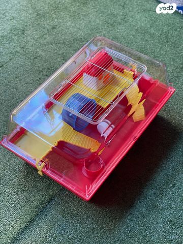 תמונת מודעה - חיות מחמד