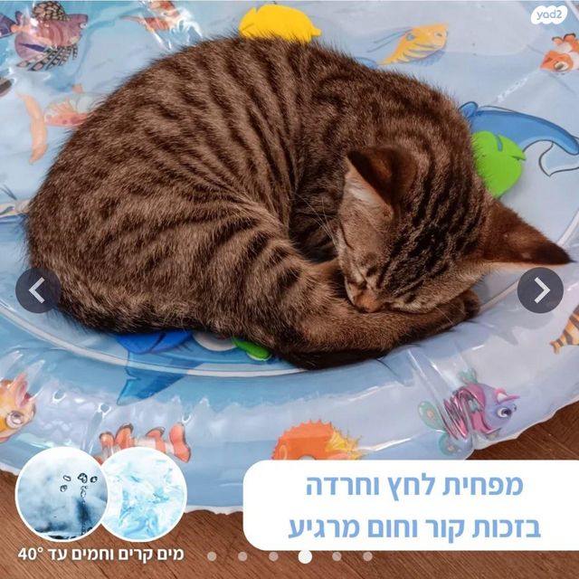 אביזרים | מיטה